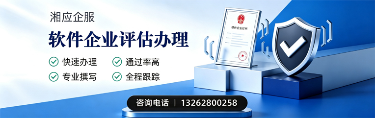 齐齐哈尔软件企业评估申报服务