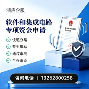 齐齐哈尔软件和集成电路专项资金申报服务