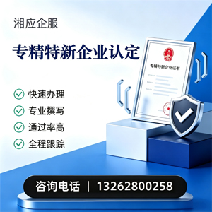 齐齐哈尔专精特新企业申报服务
