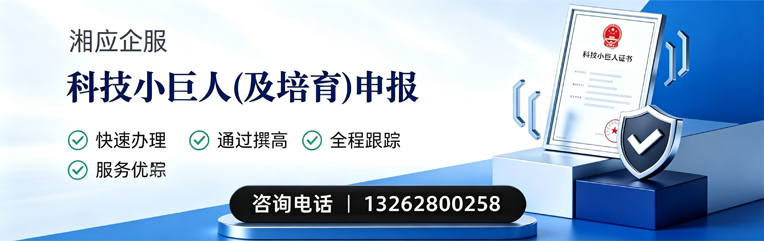 齐齐哈尔科技小巨人及培育企业申报服务