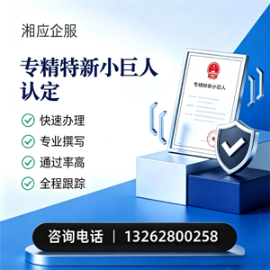 齐齐哈尔专精特新小巨人申报服务
