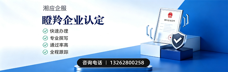 齐齐哈尔瞪羚企业认定申报服务