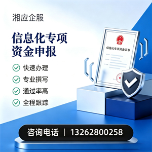 齐齐哈尔信息化专项资金申报服务