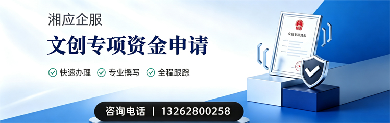 齐齐哈尔文创专项资金申报服务