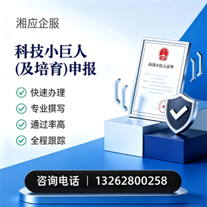 齐齐哈尔科技小巨人及培育企业申报服务
