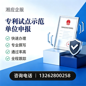齐齐哈尔专利试点示范单位申报服务