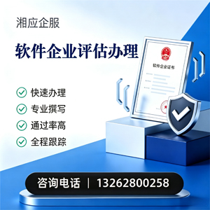 齐齐哈尔软件企业评估申报服务