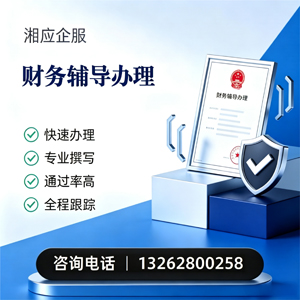 齐齐哈尔财务辅导申请服务