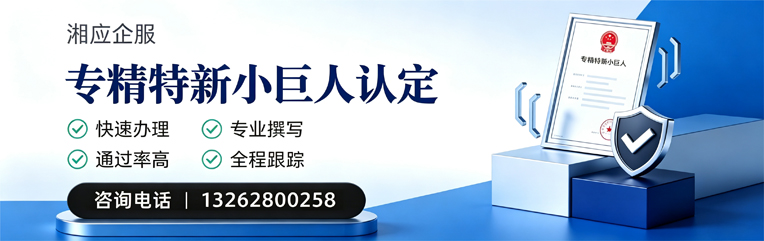 齐齐哈尔专精特新小巨人申报服务
